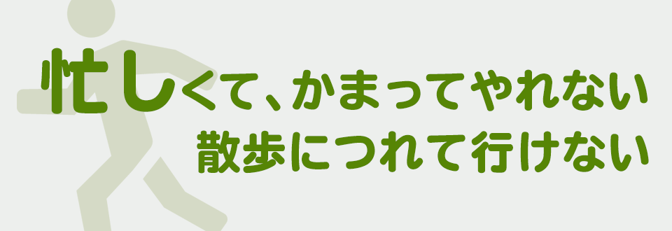 忙しくて、かまってやれない散歩に連れて行けない
