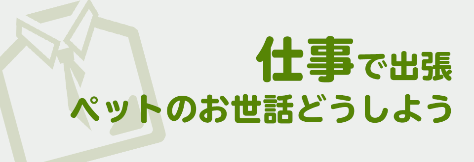 仕事で出張、お世話どうしよう